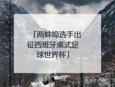 两蚌埠选手出征西班牙桌式足球世界杯